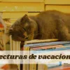 Un gato dormido sobre una pila de libros