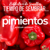 cartel Tiempo de sembrar... PIMIENTOS [Biblioteca de Semillas EPS]