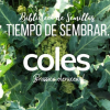 Tiempo de sembrar... COLES