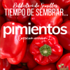 Tiempo de sembrar... PIMIENTOS [Biblioteca de Semillas EPS]