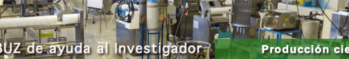 Imagen decorativa
