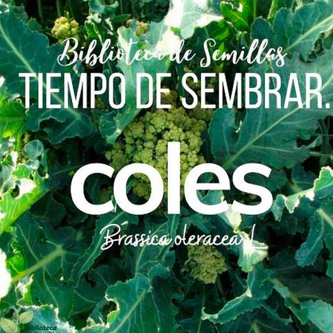 Tiempo de sembrar... COLES